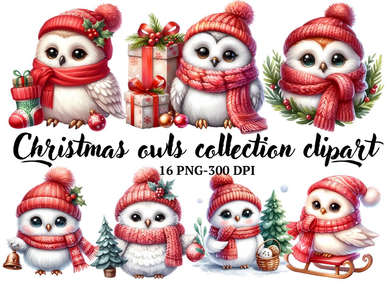 16 Christmas Owl Watercolor Clipart Bundle, Christmas Clipart Owl, Cute Xmas Owl winter Designs, Wat