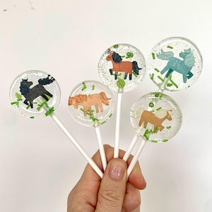 Lecca-lecca fatto a mano, cavallo artigianale senza zucchero, regalo per gli ospiti della festa, borsa da festa, souvenir, regalo per gli ospiti, caramelle, compleanno per bambini
