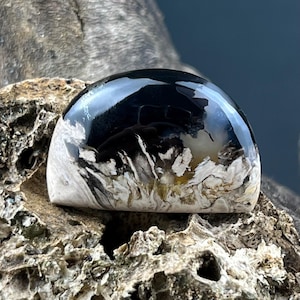 High-Quality Petrified Wood Fossil Palm Root Cabochon – Handcrafted Stone for Boho Style Pendant, Silver, or Goldsmith Settings