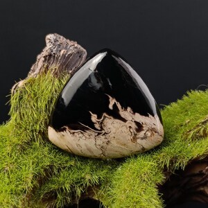 Triangular Fossil Palm Root Stone – Rare Petrified Wood Cab with Unique Pattern for Jewelry Makers