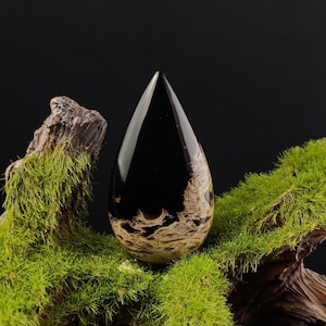 Fossilized Palm Root Teardrop Cabochon – Ancient Petrified Wood for Healing Jewelry & Wire Wrap Designs