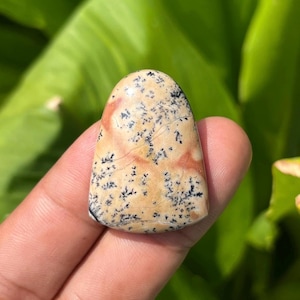 May include: A polished, dome-shaped cabochon gemstone featuring a smooth, tan-colored surface with intricate, dark black dendritic fern-like inclusions and subtle reddish-orange patches distributed across the stone's rounded, triangular form.