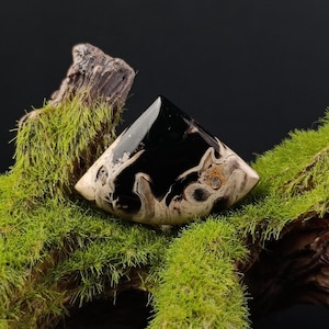 Fossilized Palm Root in Triangle Shape – Hand-Polished Gem with Organic Fossil Swirls and Earthy Hues