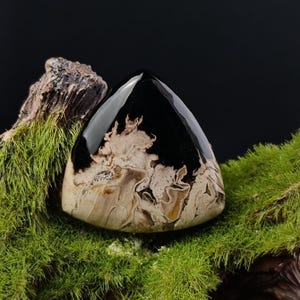 Polished Fossilized Palm Root Triangle Cabochon – Earthy Tones and Organic Patterns for Wire Wrap Jewelry