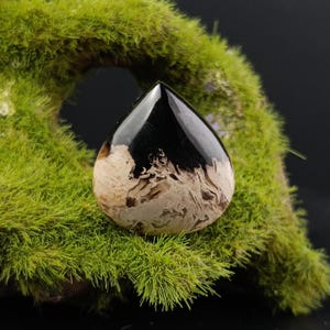 Natural Teardrop Fossil Palm Root | Artisan Crystal Cabochon for Healing Jewelry and Spring Decor