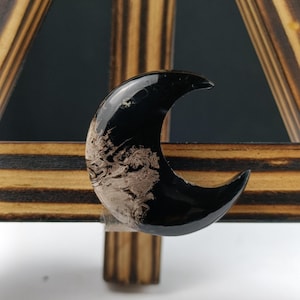Lunar Shaped Fossil Palm Root Cabochon – Polished Natural Stone for Handmade Healing Jewelry Creations