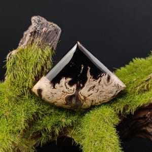 Ancient Petrified Palm Wood Cabochon – Hand-Polished Triangle Gemstone for Jewelry or Gifts