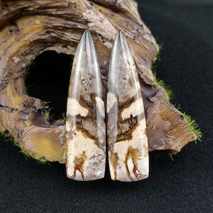 Natural Fossil Root Gem Pair – Unique Matched Stones for Earrings or Micromacrame