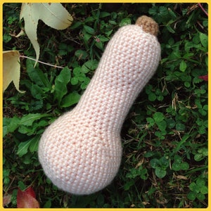 Butternut Squash Crochet Pattern