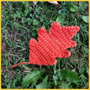 May include: A crocheted red leaf with a textured surface, lying on a bed of green grass.