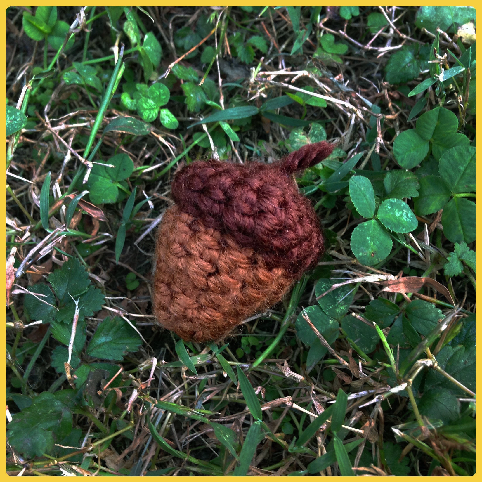 Acorn Crochet