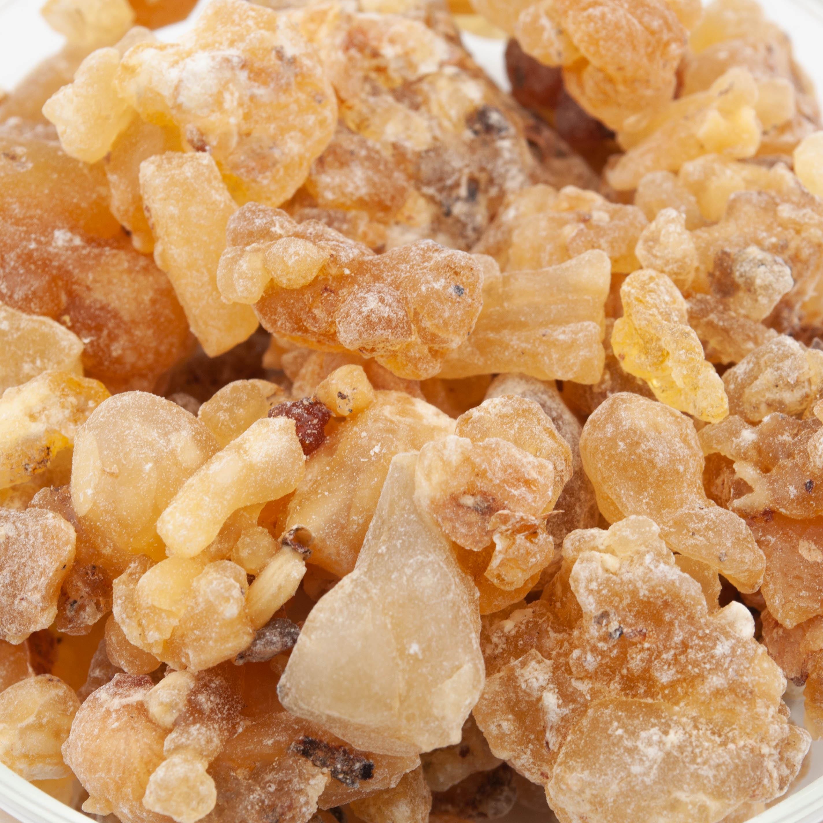 Boswellia frereana - Etsy 日本
