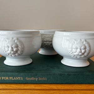 3er-Set Vintage-Löwenkopf-Pflanzgefäße | Keramik-Töpfe im Cottagecore-Stil für die Wohnkultur