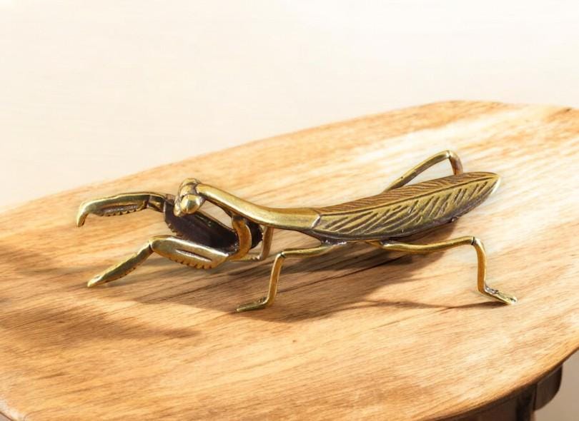 Praying Mantis - Etsy Praying Mantis - Etsy