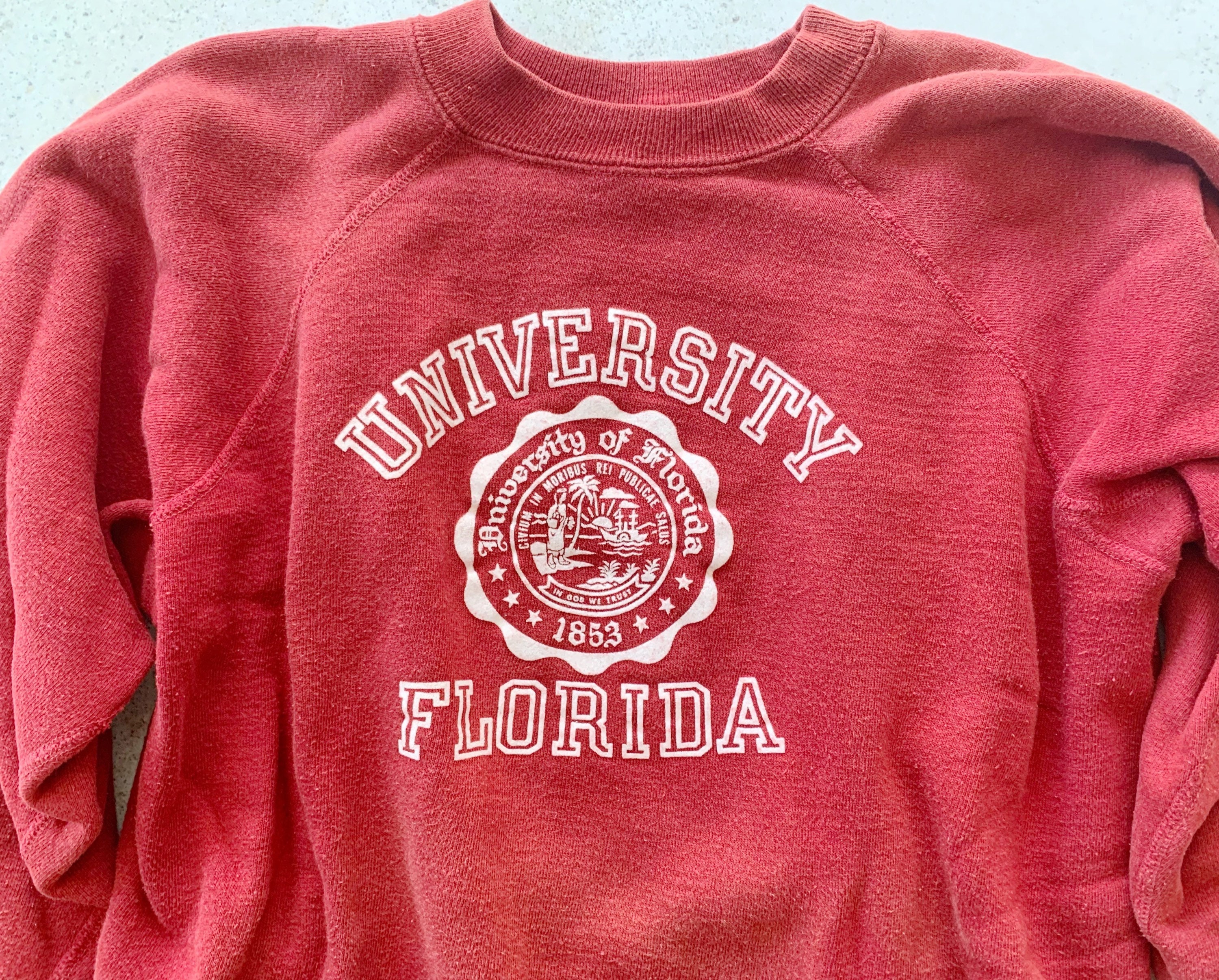 Vintage Sweatshirt | UNIVERSITY OF FLORIDA College University ...