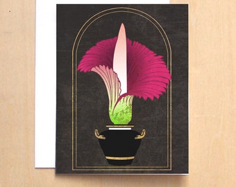 Carnivorous Plant Study 2