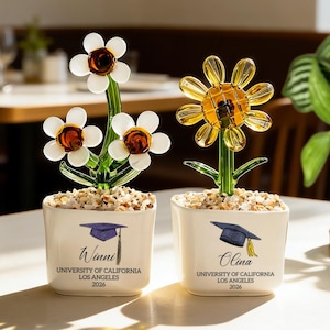 Puede incluir: Dos esculturas de flores de cristal en macetas de cerámica blanca. Una tiene flores blancas con centros marrones, la otra una flor amarilla. Cada maceta tiene un gorro de graduación y el texto: "Winni" y "Olina", "University of California Los Angeles 2026".