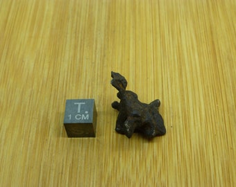 Sericho Pallasite Meteorite: Stony Iron Space Rock (29x20x14mm)