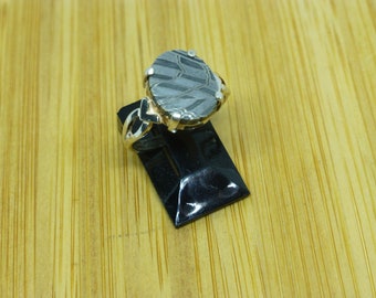 Gibeon Meteorite Damascus Ring: Sterling Silver Space Jewelry
