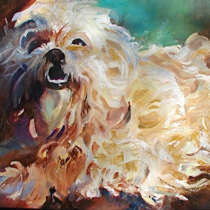 Perro Lhasa Apso