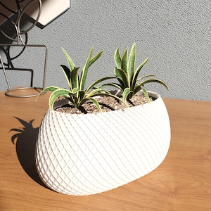 May include: White ceramic planter with a diamond pattern, featuring two green and yellow succulent plants.