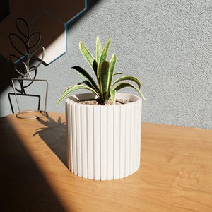 May include: A small green plant with yellow stripes grows in a white ceramic planter with vertical ridges. The planter sits on a light brown wooden surface.