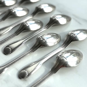 May include: A collection of silver spoons arranged on a white surface. The spoons have a classic design with a shell-like detail on the handle. The spoons are reflective, and the image has a soft focus.