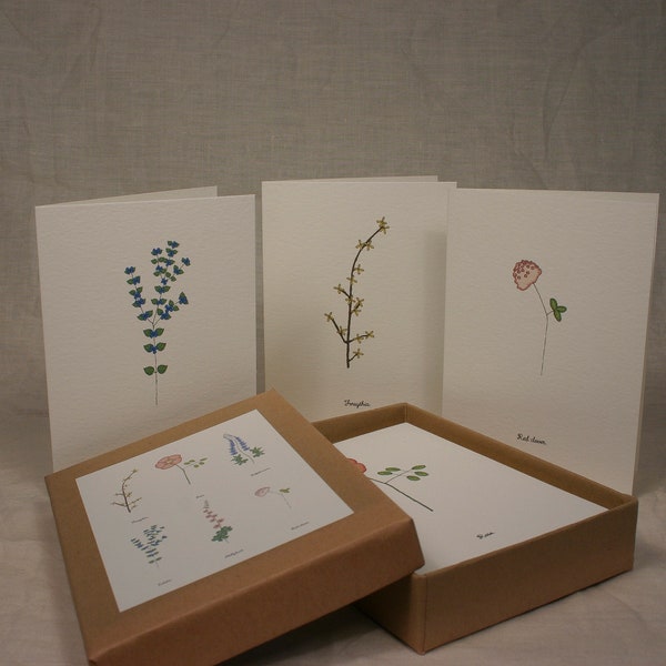 Flower Set 3