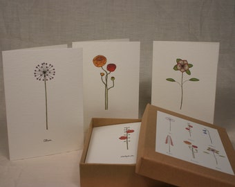 a new box of 6 floral cards.