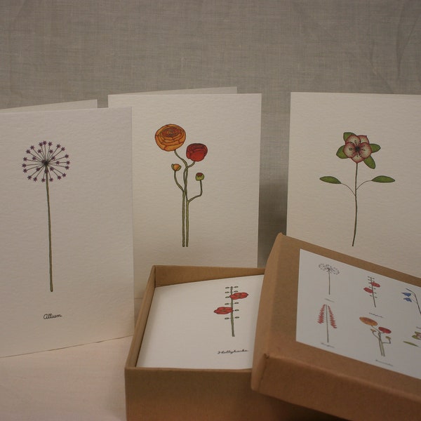 a new box of 6 floral cards.