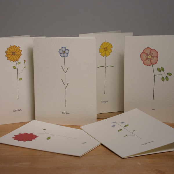 and a brand new box of 6 cards of flowers we all love. spring is on its way
