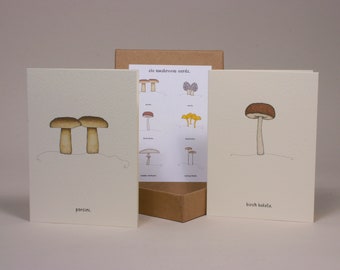 mushroom cards boxed set.