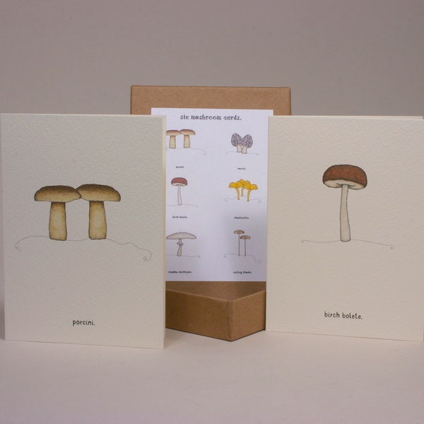 mushroom cards boxed set.