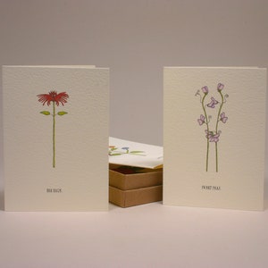 zomerbloemkaarten boxset.