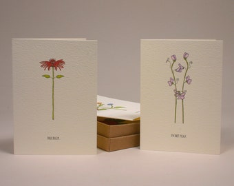 summer flower cards boxed set.