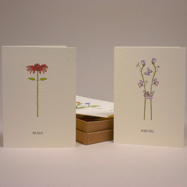 summer flower cards boxed set.