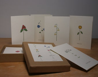 a different box of 6 cards of flowers we all love.