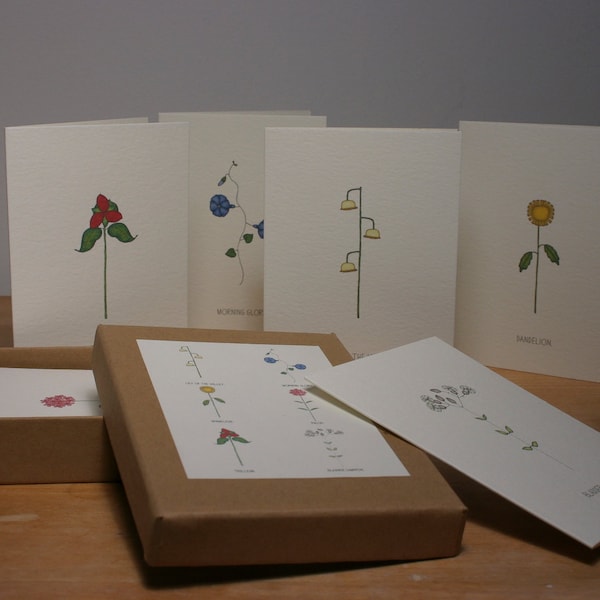 a different box of 6 cards of flowers we all love.