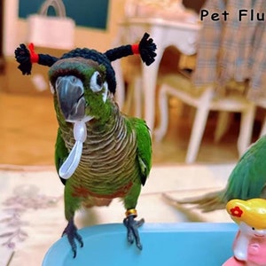 Crochet Small Pet Hats– Perfect Gifts for Birds | Hamsters| Squirrels| Parrots| Guinea Pigs| Rats| Chinchilla| Ferrets| Ducks| Small Pet