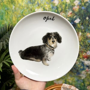 Könnte beinhalten: Weiße Keramikplatte mit einer Illustration eines Dackelhundes in Schwarz, Grau und Beige. Das Wort "opal" ist kursiv geschrieben. Die Platte hat eine glatte, glänzende Oberfläche.