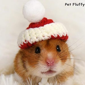 Christmas Crochet Small Pet Hats – Perfect Birthday Gifts for Hamsters| Parrots| Guinea Pigs| Rats| Chinchilla| Birds| Ducks| Small Pets
