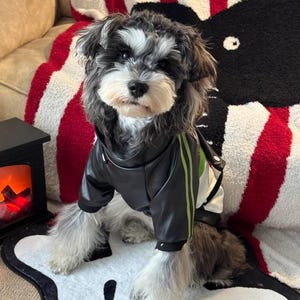 Winter Dog Leather Jacket | Warm Dog Coat | Cool Dog Jacket | Waterproof Pet Outerwear | Stylish Biker Jacket for Dogs | Dog Vest