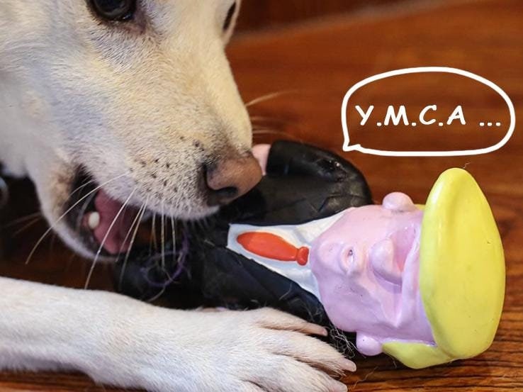 Political dog toys hot sale