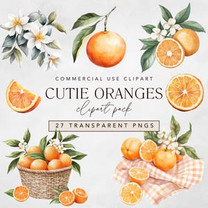A Little Cutie is On the Way Baby Shower Clipart, Watercolor Orange Blossom, Summer Citrus Fruit Botanical Illustration png, Commercial Use