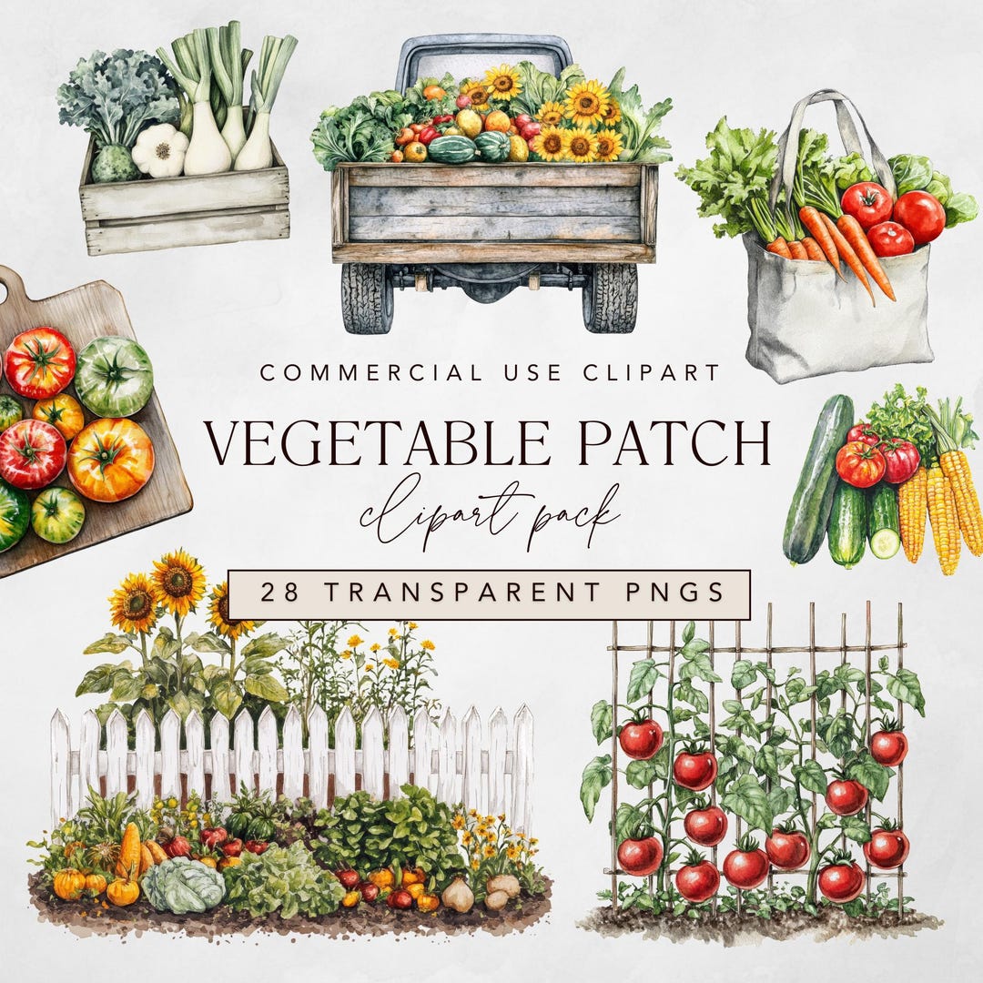 Watercolor Vegetable Garden Clipart: Farm Produce PNG (commercial Use ...