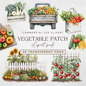 May include: Watercolor illustration of a vegetable patch with various produce. Features a wooden truck bed filled with sunflowers and vegetables, a wooden crate, a cutting board, and a tote bag. Text reads "VEGETABLE PATCH clipart pack".