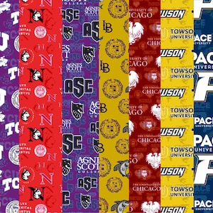 May include: A collage of seven vertical fabric strips featuring various university logos and mascots. The patterns include purple, red, gold, maroon, yellow, and blue backgrounds with repeating emblems for TCU, Agnes Scott, Long Beach, Chicago, Towson, and Pace.