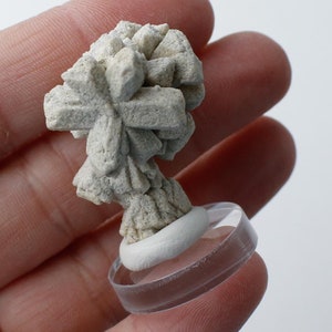 May include: A white, crystalline rock formation resembling a flower, displayed on a clear plastic base.
