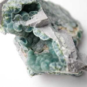 May include: A close-up of a mineral specimen featuring a combination of colors. The specimen has a light gray matrix with patches of teal-colored, rounded formations. The formations have a layered, textured appearance.