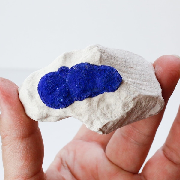 Azurite Suns on White Kaolinite Matrix from Australia